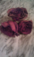 /album/photo-gallery-homepage1/perserved-roses-png/
